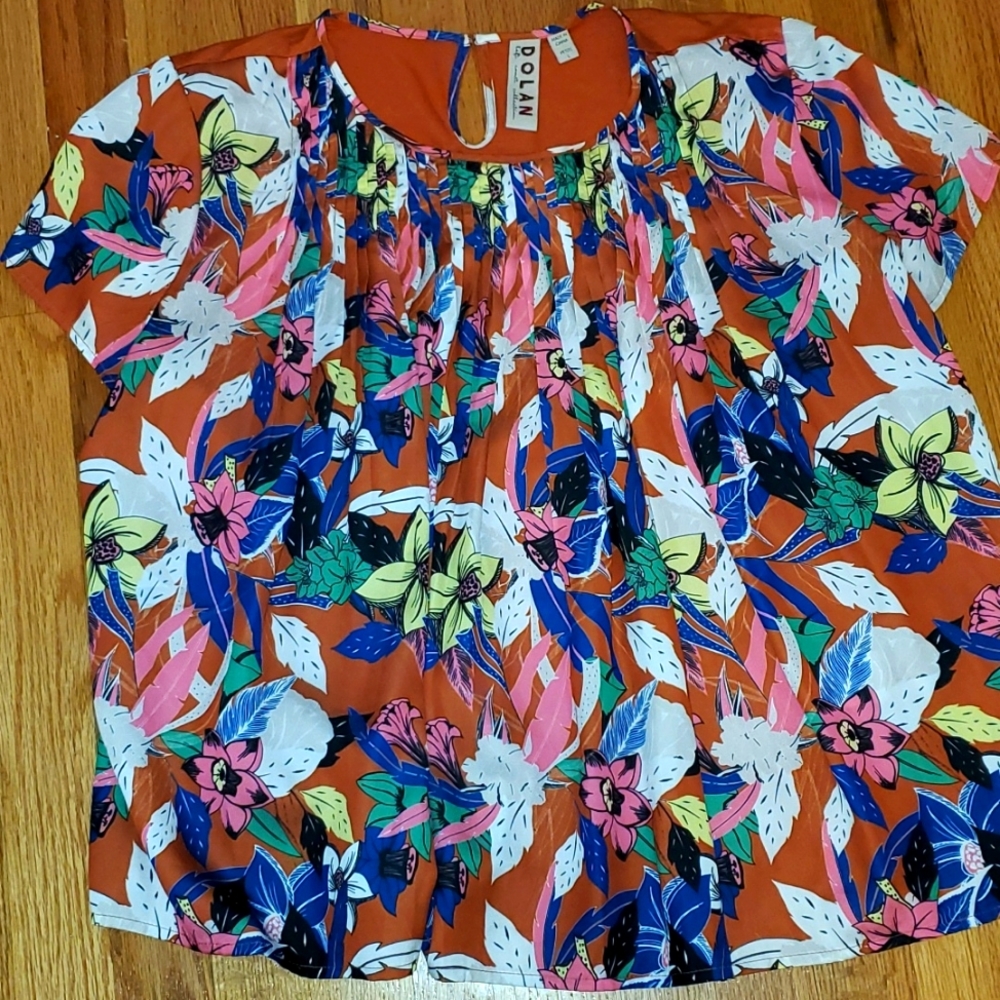 DOLAN Left Coast Anthropologie Top Petite Large BN